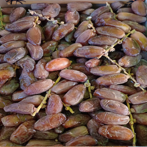 Dattes Medjoul
